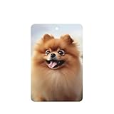 Die hochwertigen Auto-Dufttabletten von Pomeranian Dog sind langlebig, frisch, schön und praktisch