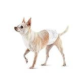 Amazon Basics Einweg-Hundewindeln für Rüden, X-Klein, 30er-Pack, Weiß