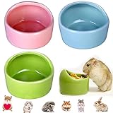 3 Stück Hamster Keramik Futterschalen, Keramik Futternäpfe für Hamster, Anti-Biss Keramik Futterschalen, Meerschweinchen, Geschirr, Rennmaus Eichhörnchen, Feeder, Essbecken, Pink, Blau, Grün