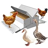 MUALROUS Futterautomat Hühner Rattensicher Hühner Futterspender Automatischer 5kg Trittplatte Hühnerfütterung Trog Rattenschutz Doppelseitige Trittplatte Auto Geflügelfütterer