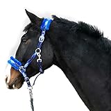Halfter für Pferde Fell Halfter unterlegt Halfter blau in den Größen xfull Halfter, Pony, Cob, Warmblut (Blau, Kaltblut + Strick)