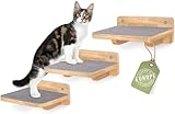 WOOWOOD® Kletterwand Katzen | Katzentreppen 3er-Set | Katzentreppe Wand | Katzen Kletterwand Set | Katzenleiter | Katzenwand Klettern | Catwalk Katze | Katzen Wand Klettern | XL