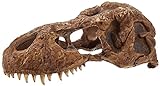 Exo Terra T-Rex-Schädel, sicheres Versteck für Reptilien und Amphibien, groß, 1 Stück (1er Pack)