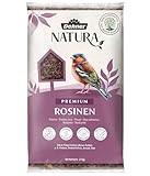 Dehner Natura Premium Wildvogelfutter, Rosinen Delikatesse, Futterrosinen, Ganzjahresfutter energiereich, hochwertiges Vogelfutter für Wildvögel, 2 kg