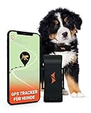 PAJ GPS Tracker für Hunde - 4G - Weglaufalarme + weltweite Live-Ortung - Akkusparmodus in Routernähe - Hunderückruf - mit Leucht-LEDs - Wasserdicht (IP67) - passt an jedes Halsband