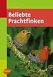 Beliebte Prachtfinken