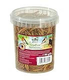 Dehner Natura Premium Wildvogelfutter, Wildvogelsnack, getrocknete Mehlwürmer, Ganzjahresfutter proteinreich, hochwertiges Vogelfutter für Wildvögel, 80 g