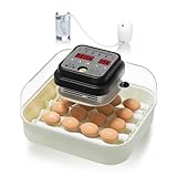 Hethya Brutautomat Vollautomatisch Brutmaschine Vollautomatisch Inkubator Hühner für 12-16 Eier mit Feuchtigkeitsregelung, Automatischer Eierwender und Eierlampe