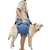 COODEO Hundetragegurt, Notfallrucksack Unterstützung für Rehabilitation Hundelift Geschirr, Hundeträger für ältere Hunde Gelenkverletzungen, Arthritis, Treppe hinauf (XL, Blau)