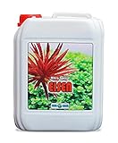 Aqua Rebell ® Mikro Spezial Eisen (Fe) Dünger - 5 Literflasche - optimale Versorgung für Ihre Aquarium Wasserpflanzen - Aquarium Dünger speziell für Wasserpflanzen entworfen