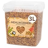 Mehlwürmer getrocknet 3 ltr., ideal als Wildvogelfutter und Igelfutter, getrocknete Mehlwürmer, nährstoffreicher Snack für Nager, Reptilien, Vögel, Fische, Igel, Schildkröten