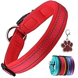 PcEoTllar Hundehalsband Verstellbare Weich Gepolstertes Hunde Halsband Neopren Nylon Reflektierend Halsband Atmungsaktives Einstellbar mit Erkennungsmarke for Kleine Mittel Große Hunde, Rot-XS