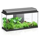 Aquatlantis Aquadream 80 Black