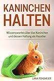 Kaninchen halten: Wissenswertes über das Kaninchen und dessen Haltung als Haustier