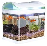 Sweetypet Aquarium: Transport-Fischbecken mit Filter, LED-Beleuchtung und USB, 3,3 Liter (Mini Aquarium, USB Aquarium, Urzeitkrebse)