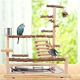 Vögel Spielplatz,Vogelspielplatz Mit Feeder Cups und Tablett,Papageien-Spielständer,Sitzstange Gym Ständer,Nymphensittich Spielplatz Für Papageien,Cockatiels,Kegel,Finken,Nymphensittiche, Aras