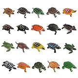 OOTSR 20 stücke Schildkröten Figurines, Ozean Tier Kleine Schildkröte Realistische Kunststoff Schildkröten für Party Favor/Haustier Schildkröte/Badewanne/Pädagogisches/Geschenk