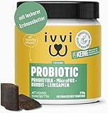 ivvi PROBIOTIC Hunde Probiotika als Leckerli - Hund Darmflora aufbauen, verbesserte Verdauung & Immunsystem - 60 leckere Snacks (270g) mit Erdnussbutter