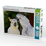 CALVENDO Puzzle Gelbhaubenkakadu und Weißhaubenkakadu 1000 Teile Puzzle quer | 1000 Teile Lege-Größe 64 x 48 cm Foto-Puzzle für glückliche Stunden