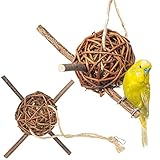 Vogelgaleria® 2er Set prall mit Heu gefüllte Weidenkugel 10cm zum knabbern und Klettern für Vögel | Bestes Wellensittich Spielzeug für den Käfig | Ideales Knabberspielzeug Vogelzubehör handgemacht