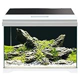 Amtra MODERN Tank 40 LED - Aquarium komplett mit LED-Beleuchtung und Innenfilter/cm 42,5x23,5x36,5/28 Liter