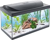 Tetra Starter Line 54 L Aquarium Komplett-Set mit LED-Beleuchtung - stabiles Einsteigerbecken mit Technik, Futter und Pflegemitteln, Farbe: Schwarz