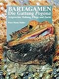 Bartagamen - Die Gattung Pogona: Artgerechte Haltung, Pflege und Zucht (Terrarien-Bibliothek)