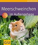 Meerschweinchen im Außengehege