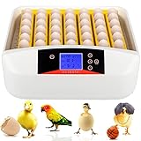 Brutautomat Vollautomatisch Inkubator, Brutmaschine für bis zu 56 Hühnereier mit Eier automatisch drehen Brutapparat mit LED Temperaturanzeige Temperatur- und Feuchtigkeitsalarm für Eier Enteneier