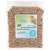 Blumixx Jan-Pet Premium Mehlwürmer getrocknet 2 kg, 2 Beutel x 1 kg wiederverschließbar, Vogelfutter Wildvogelfutter Ganzjahresfutter, Igelfutter, Eichhörnchen Futter, Fisch Futter, Wachtelfutter