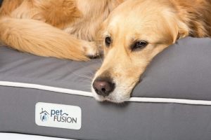 PetFusion - Orthopädisches Hundebett - ist aus hochwertigen Materialien hergestellt.