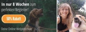 Hundeschule: Welpenkurs Online Hundetraining.