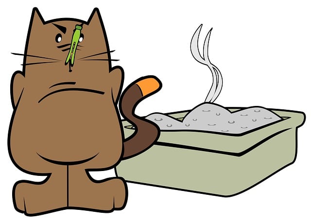Nie wieder Katzenstreu rausfummeln – diese 6 selbstreinigenden Katzenklos machen’s möglich!