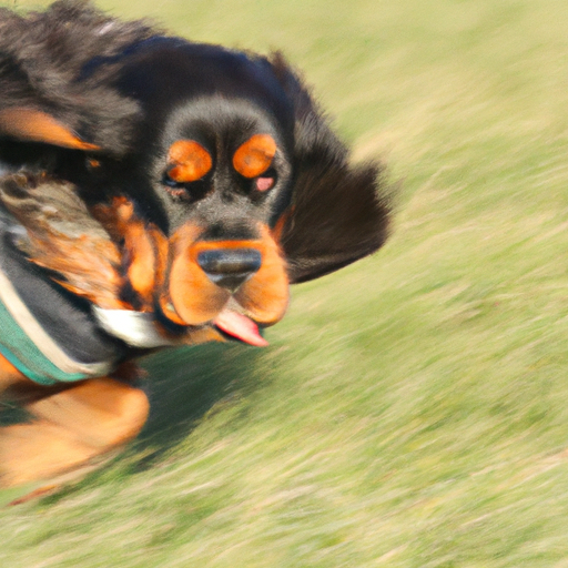 Die unglaubliche Geschwindigkeit von Hunden: Eine Hommage an die Schnelligkeit unserer treuesten Begleiter