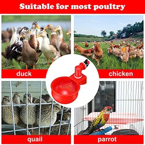 Automatische Hühnertränke: Praktisch, zuverlässig & langlebig für gesunde Geflügeltiere
