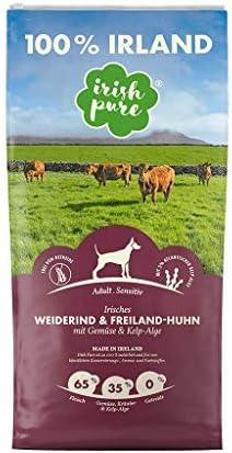 Du hast einen Vierbeiner mit Colitis? Hier ist das ‌beste Hundefutter für Colitis!