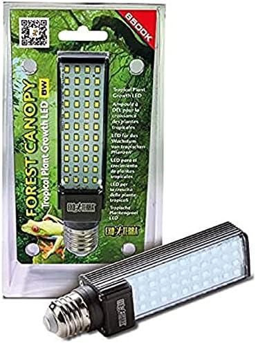 Lass' dein Terrarium strahlen: Die besten LED Beleuchtungen für deine Pflanzenfreunde