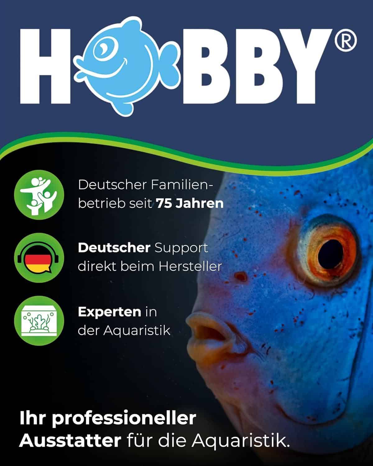 Die besten Hobby Kleber für Aquarien: Unterwasser & Silikon
